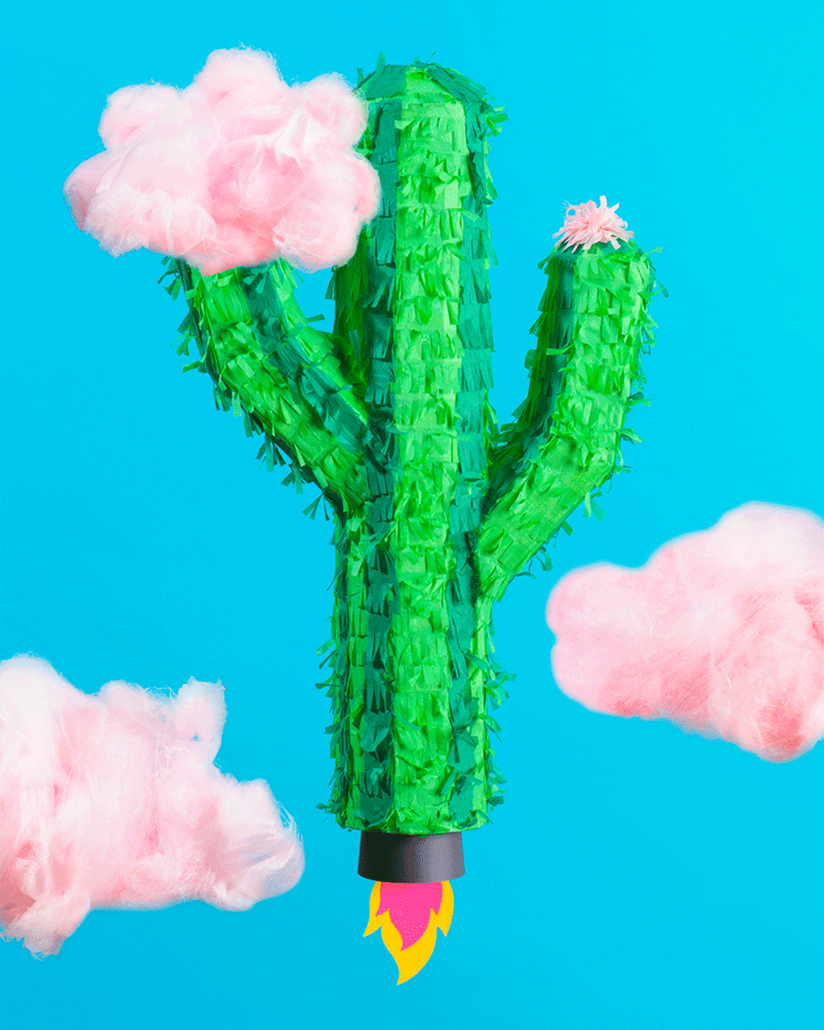 flying_kaktus