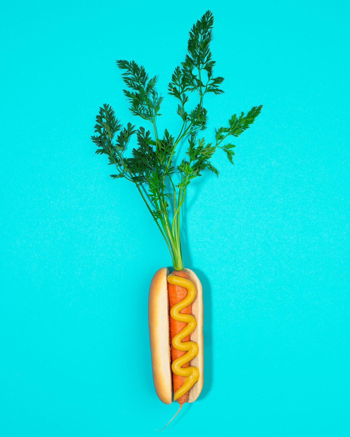 veggie_fast_food_hot_dog
